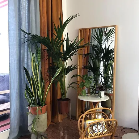 Lejlighed Rooftop Center Lpa Las Palmas de Gran Canaria